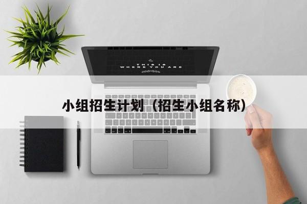 小组招生计划（招生小组名称）