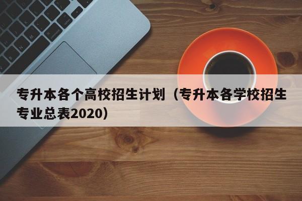 专升本各个高校招生计划（专升本各学校招生专业总表2020）