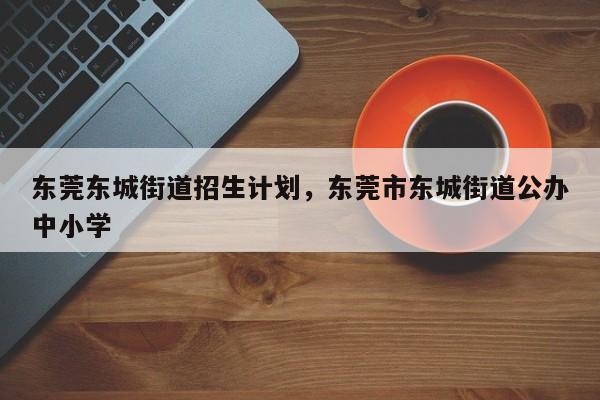 东莞东城街道招生计划，东莞市东城街道公办中小学