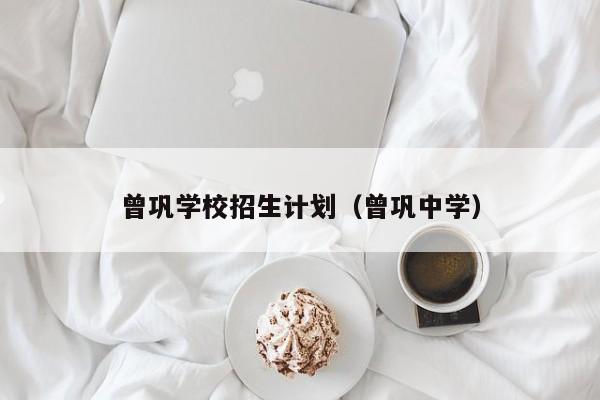 曾巩学校招生计划（曾巩中学）