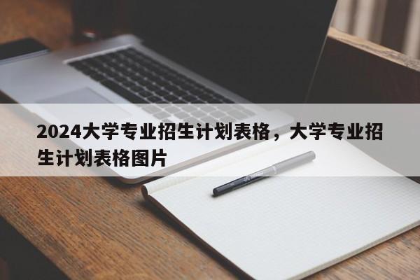 2024大学专业招生计划表格，大学专业招生计划表格图片