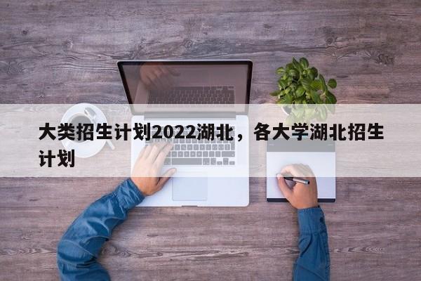 大类招生计划2022湖北，各大学湖北招生计划