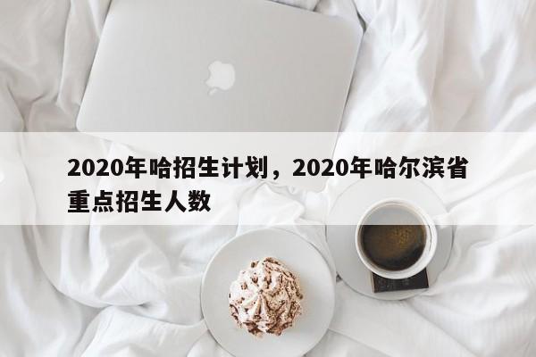 2020年哈招生计划，2020年哈尔滨省重点招生人数