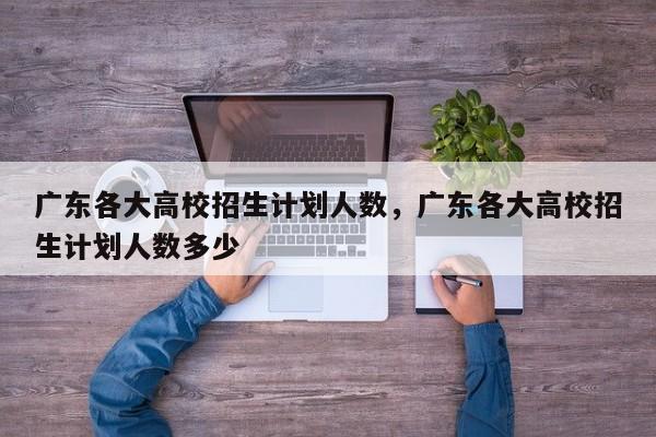 广东各大高校招生计划人数，广东各大高校招生计划人数多少