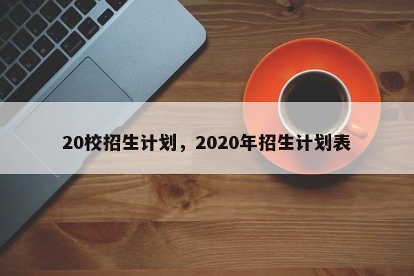 20校招生计划，2020年招生计划表