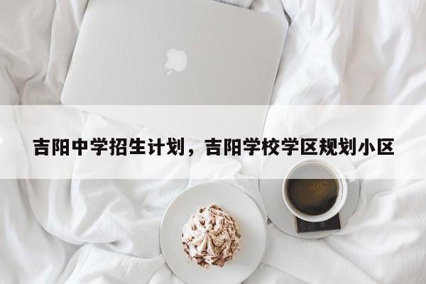 吉阳中学招生计划，吉阳学校学区规划小区