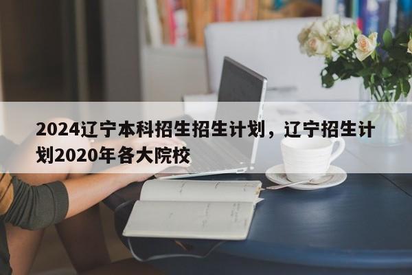 2024辽宁本科招生招生计划，辽宁招生计划2020年各大院校