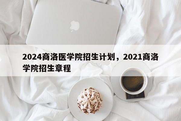 2024商洛医学院招生计划，2021商洛学院招生章程