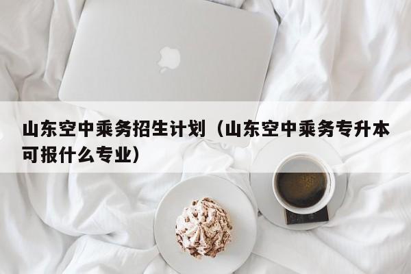 山东空中乘务招生计划（山东空中乘务专升本可报什么专业）