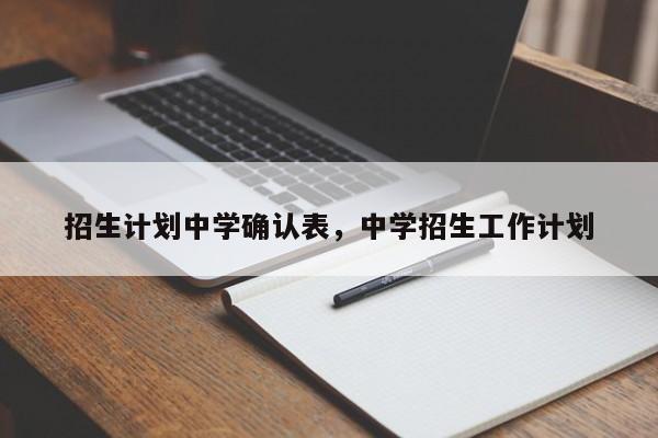 招生计划中学确认表，中学招生工作计划